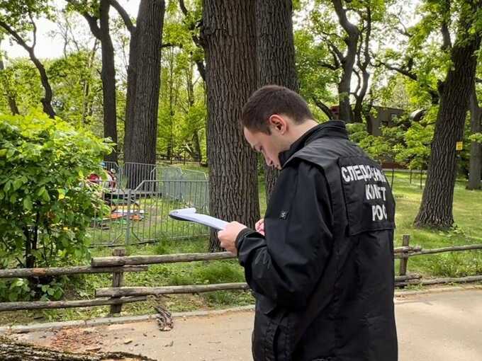 В Москве возбудили уголовное дело после падения дерева на женщину